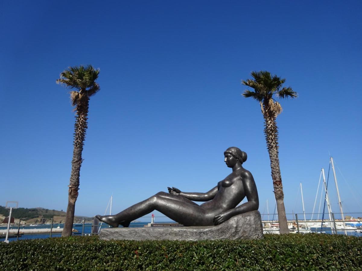 Vue Sur Mer! Levers De Lune Et Soleil En Direct! Port Vendres Exterior foto
